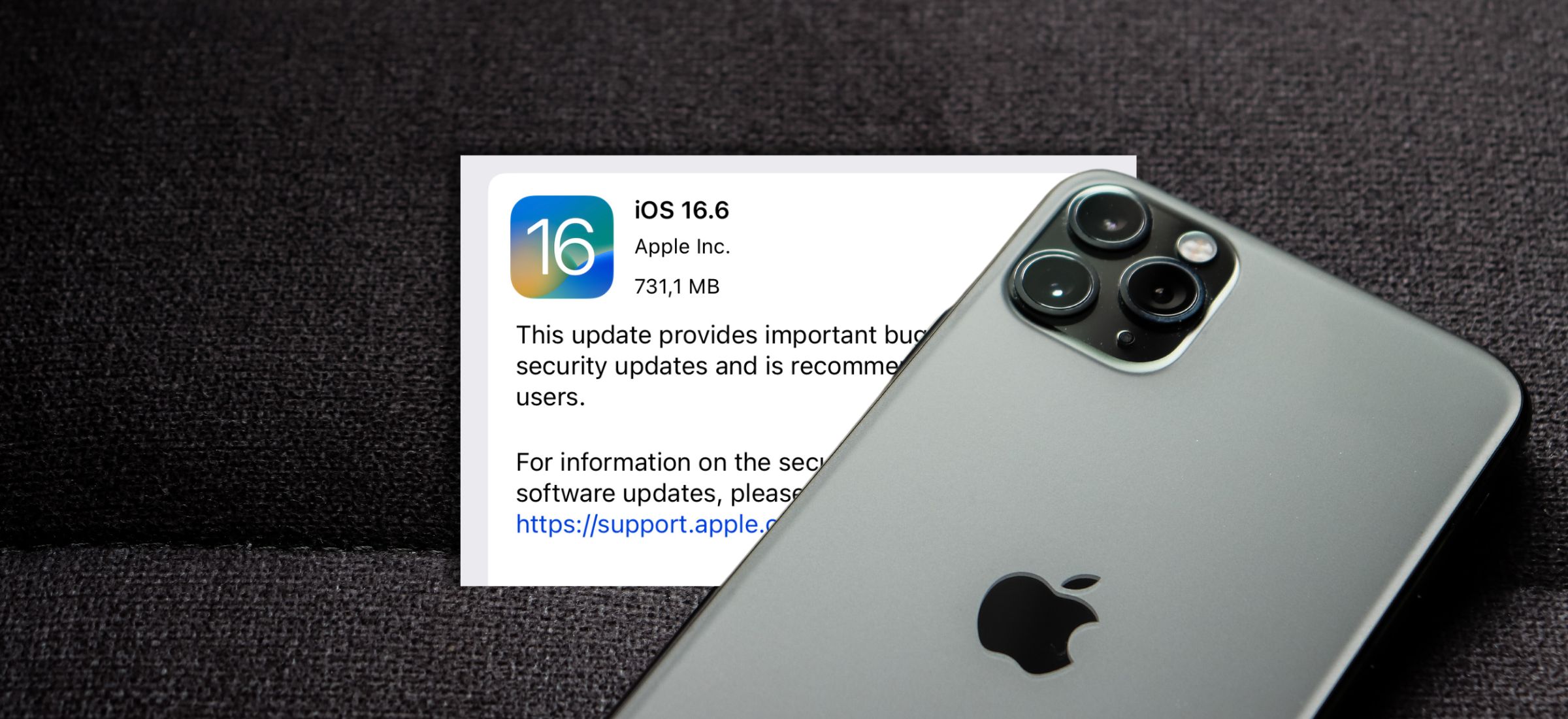 iOS 16.6