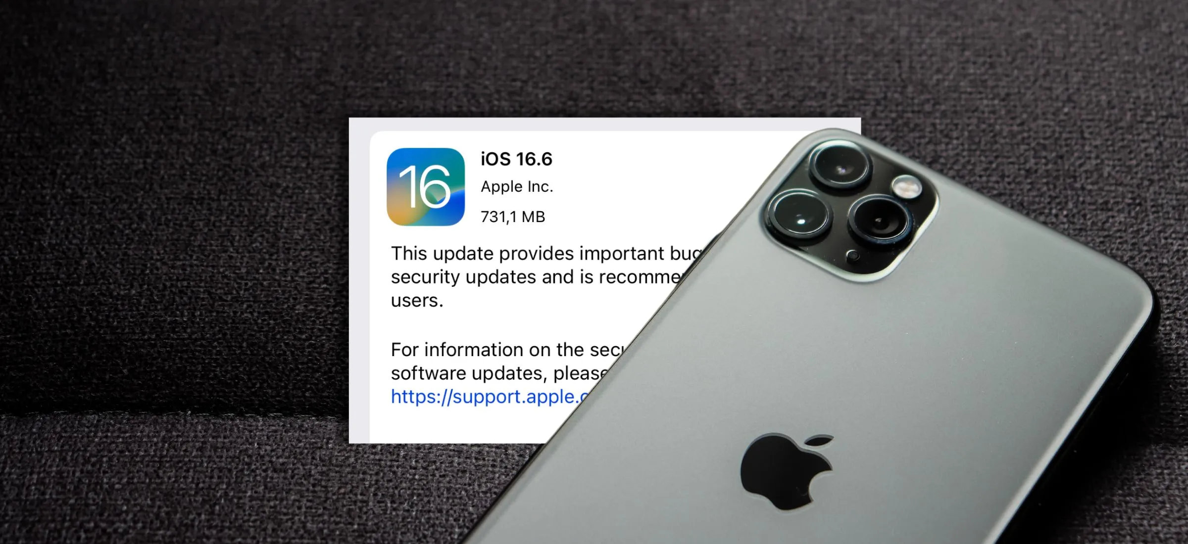 iOS 16.6