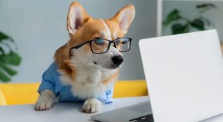 model laptopa - jak sprawdzić