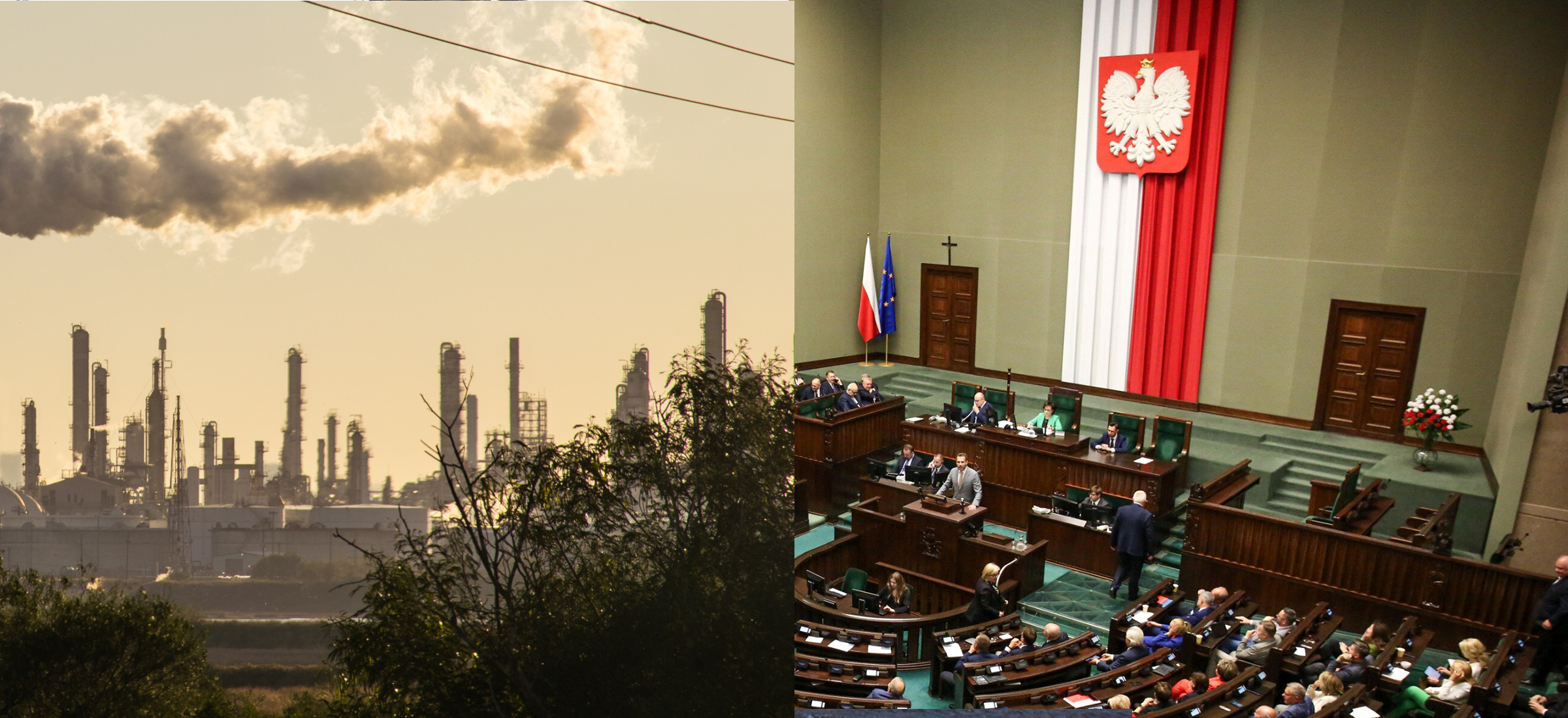 Klimatyczna Bzdura Kadencji: Maria Kurowska i emisja CO2