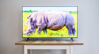 Panasonic MX950 to udany debiut na rynku Mini LED TV: wysoka jasność, świetne odwzorowanie ruchu