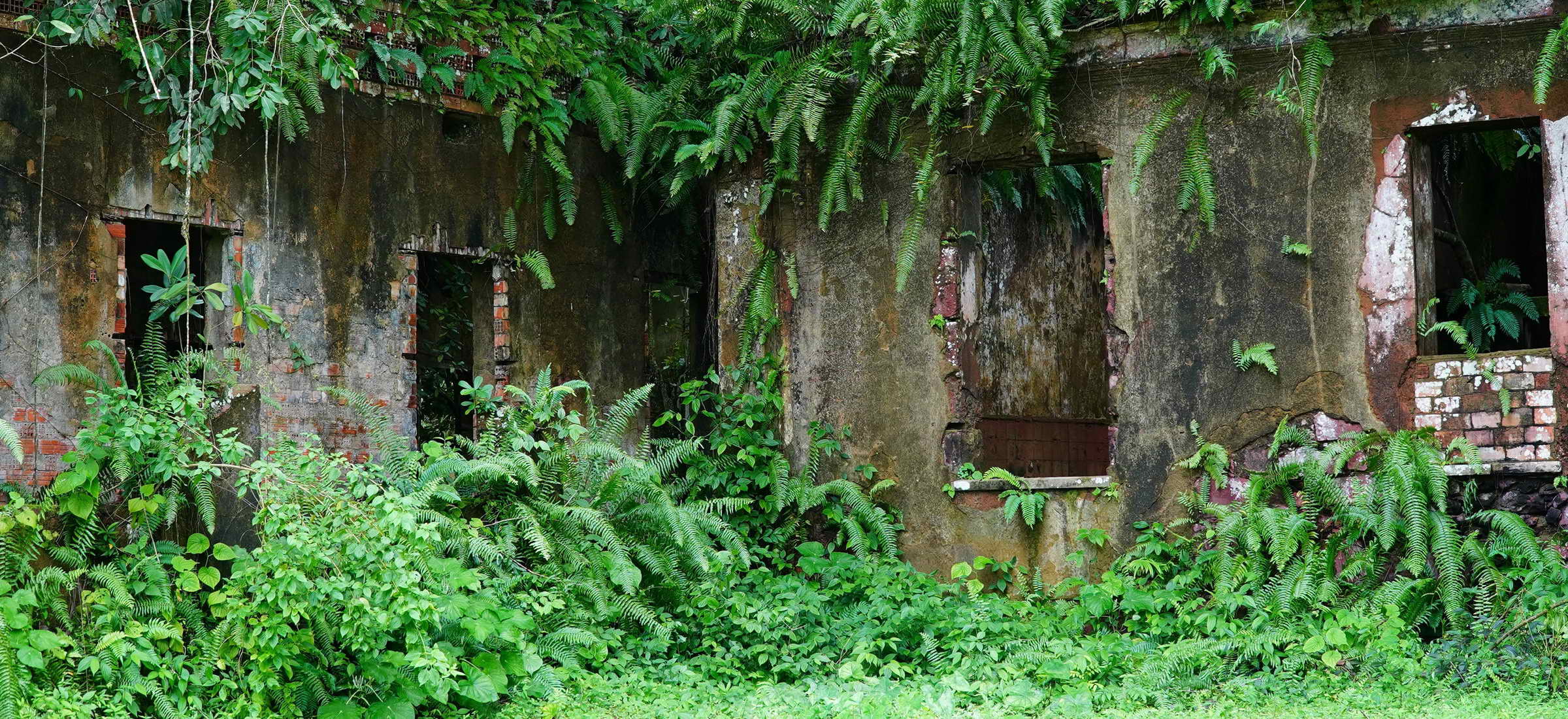 Tysiące starożytnych struktur pogrzebanych pod lasami Amazonii. Czy to mityczne Eldorado?