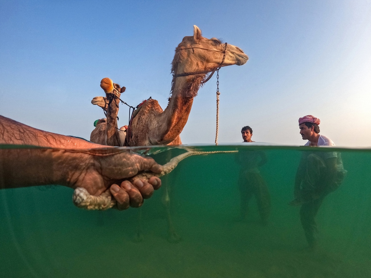 Fot. Shyjith Onden Cheriyath, &quot;Following their tradition&quot;, 1. miejsce w kat. Journeys &amp; Adventures / Siena International Photo Awards 2023. 
