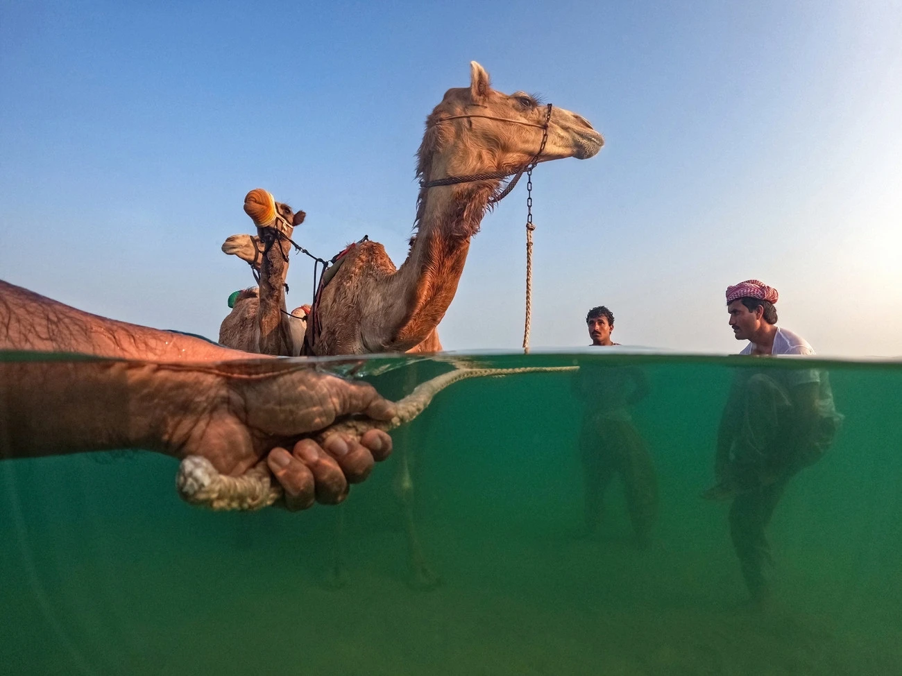 Fot. Shyjith Onden Cheriyath, &quot;Following their tradition&quot;, 1. miejsce w kat. Journeys &amp; Adventures / Siena International Photo Awards 2023. 