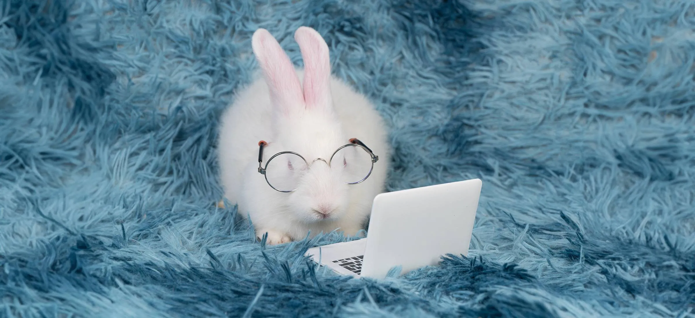 Mały laptop - jak wybrać?