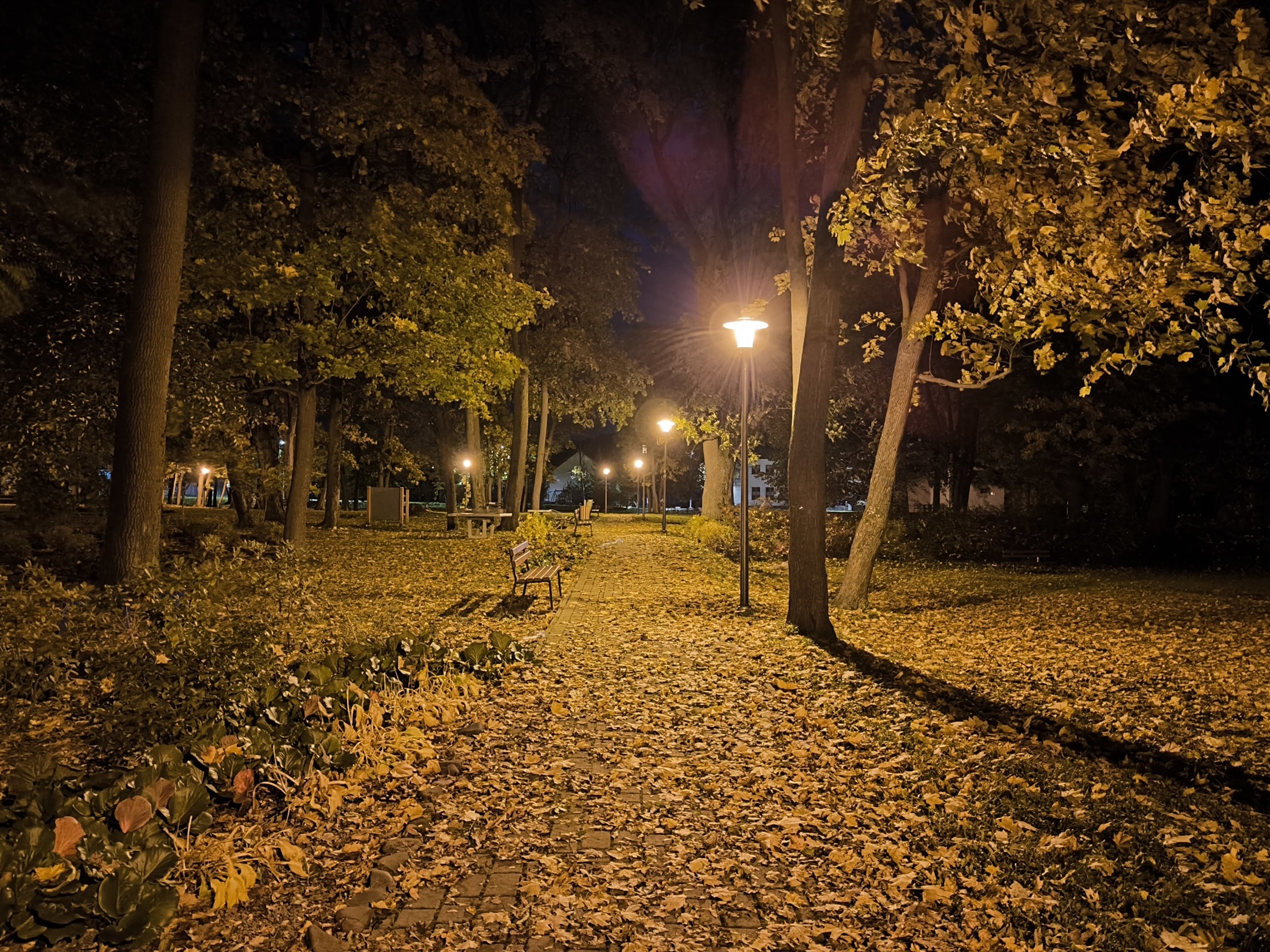 class="wp-image-4139264"
