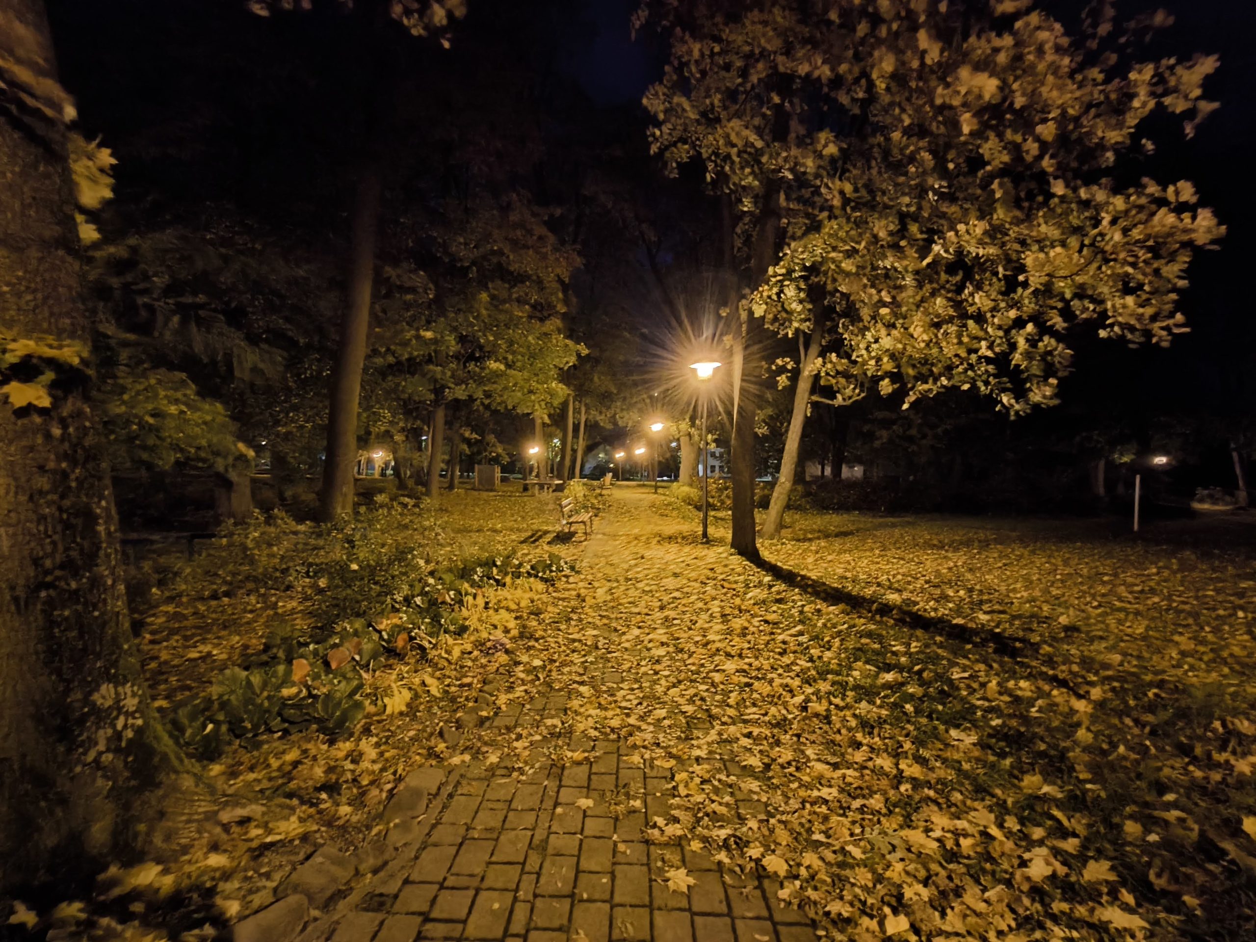 class="wp-image-4139267"