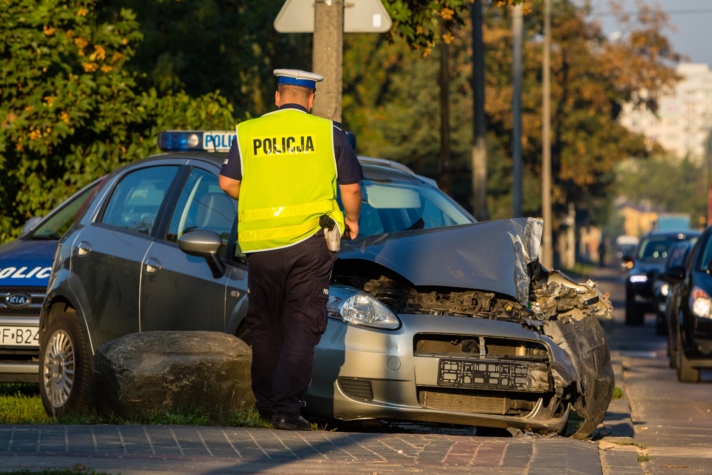 policja