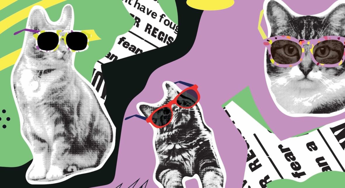 Nie upijają się, nie robią dram, nie hejtują. Tych influencerów kocha cała sieć