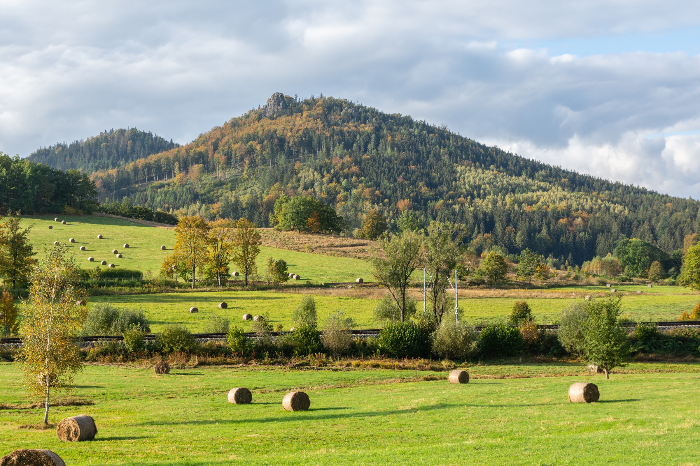 miedzianka panele
