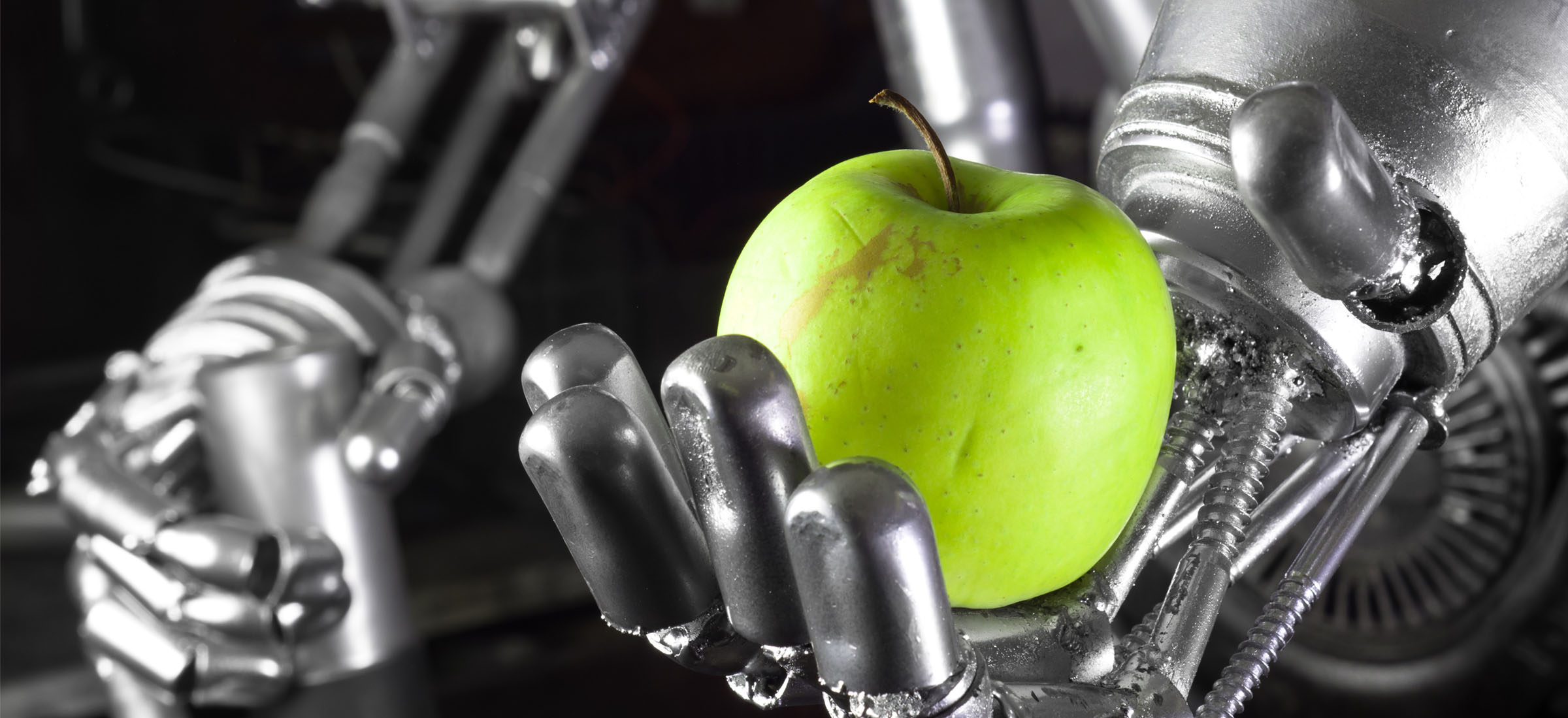 Apple pokazał OpenELM - swoją sztuczną inteligencję. Jest do pobrania za darmo