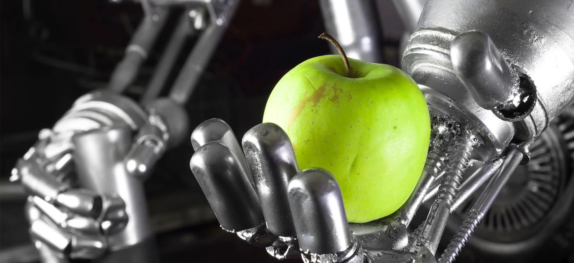 Apple pokazał OpenELM - swoją sztuczną inteligencję. Jest do pobrania za darmo