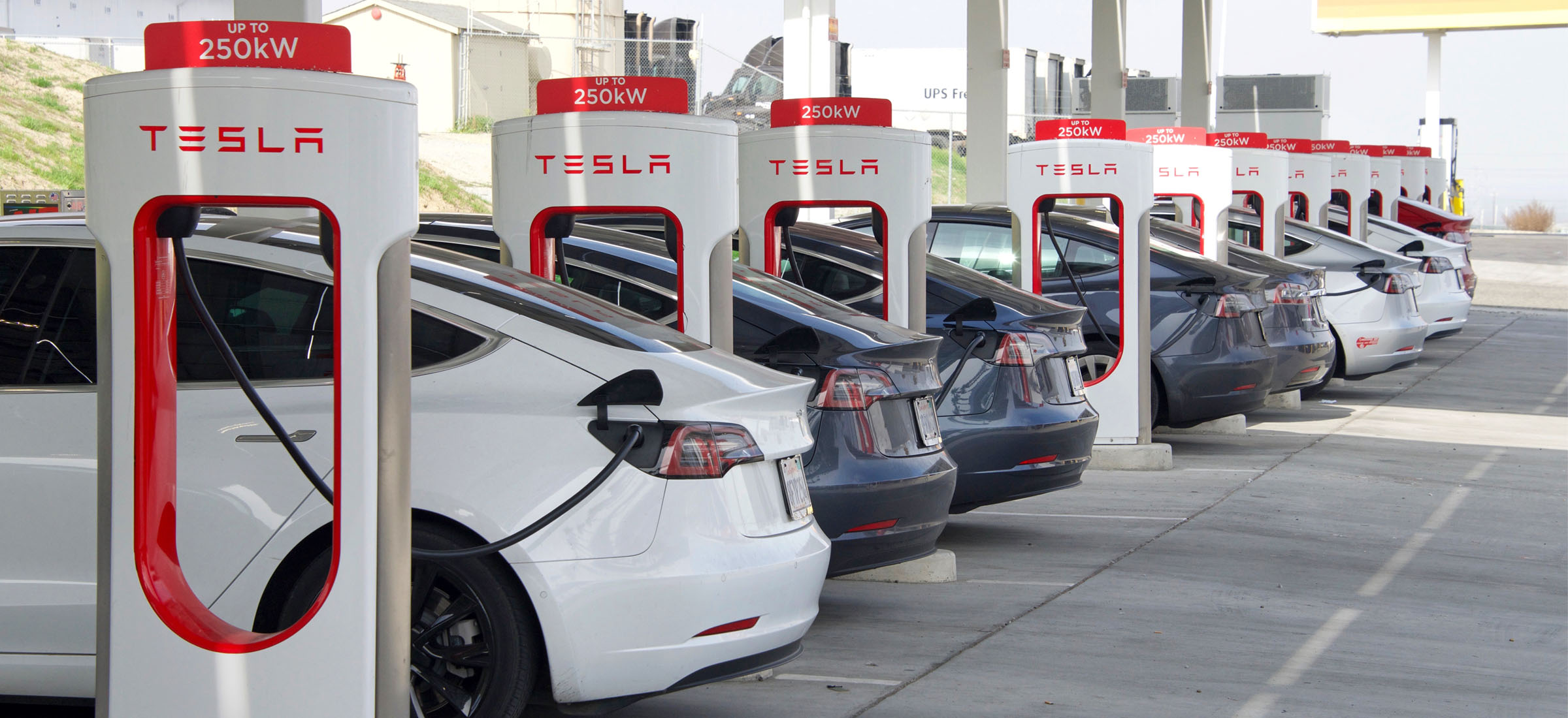 Elon Musk zrobił swojego Bolta. Tylko takiego bez kierowców