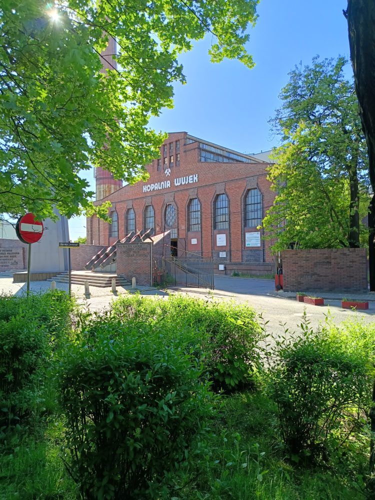realme 12 5G, obiektyw główny, tryb domyślny