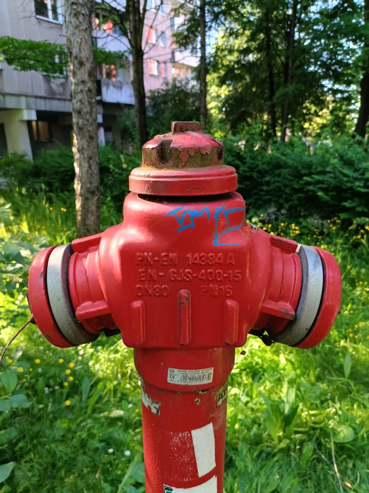 realme 12 5G, obiektyw główny, tryb domyślny