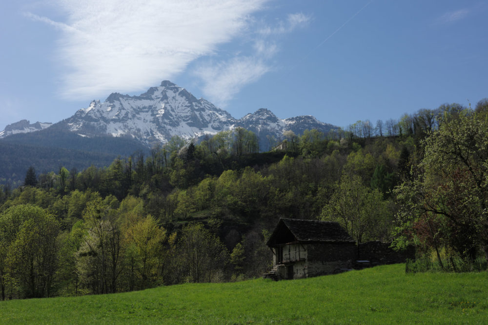 https://ocs-pl.oktawave.com/v1/AUTH_2887234e-384a-4873-8bc5-405211db13a2/spidersweb/2024/05/ricoh-griii-x-test-italy-171-1000x667.jpg