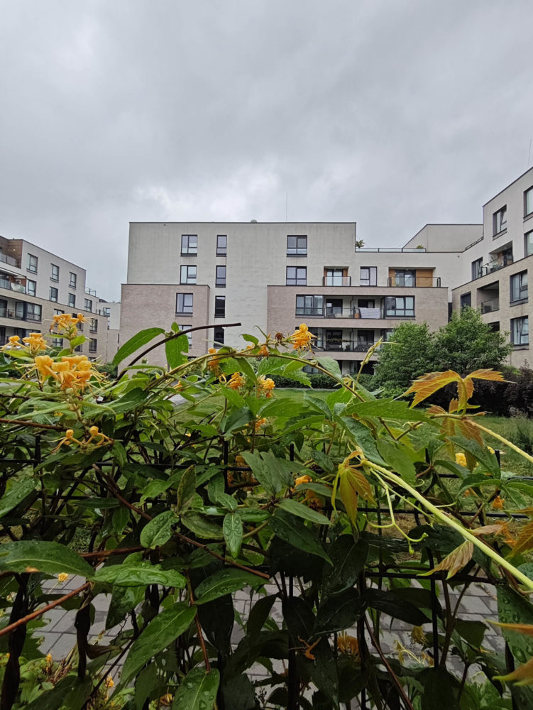Zdjęcie wykonane Poco F6 (0.6X)