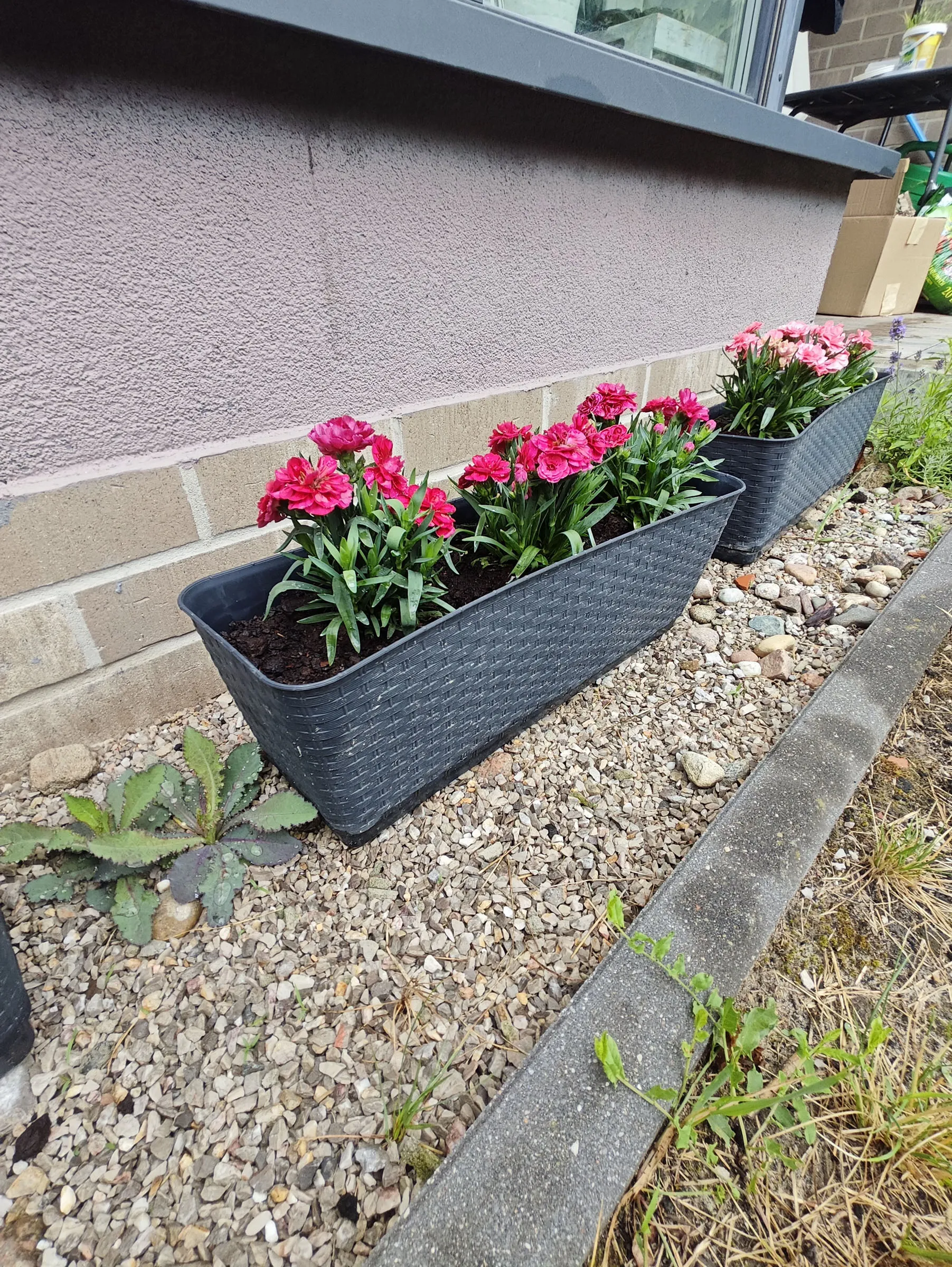 Zdjęcie wykonane Poco F6 Pro (0,6X)
