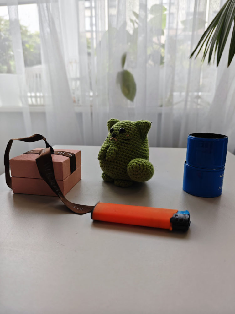 Zdjęcie wykonane Poco F6 Pro (1X)
