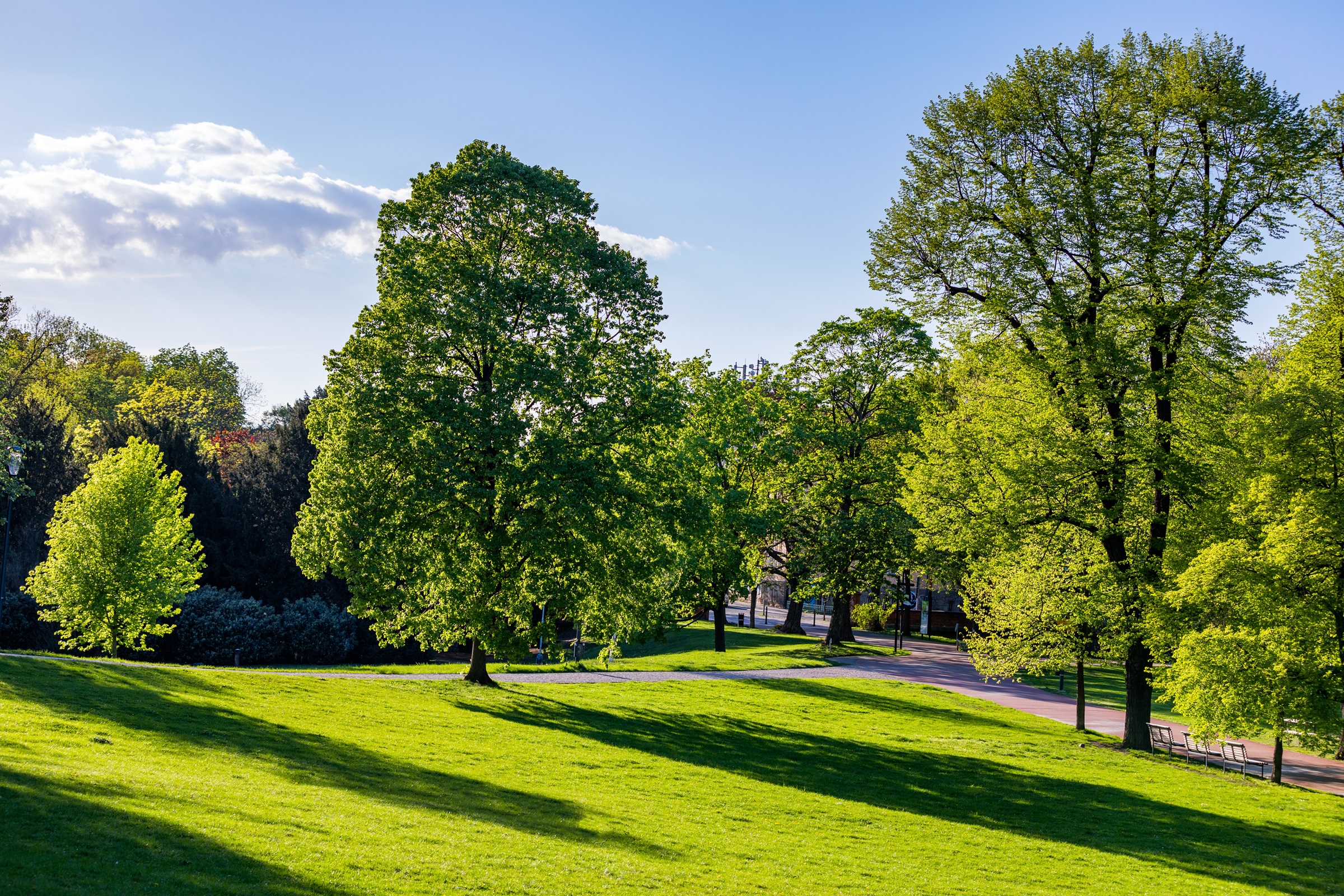 park