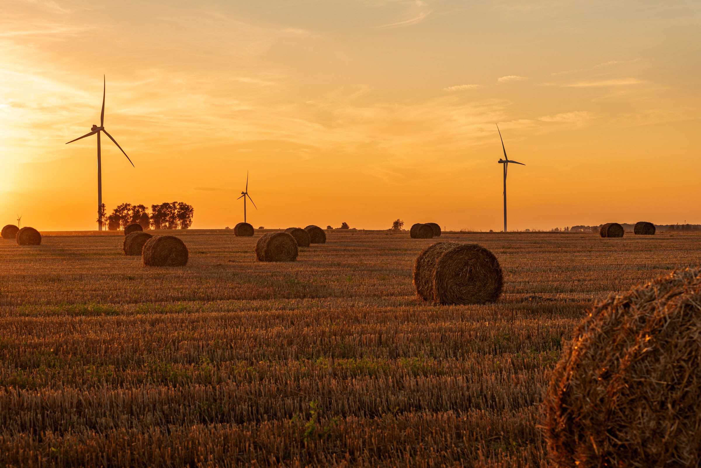 energetyka wiatrowa