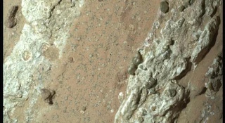 Na Marsie było życie. NASA wydała oficjalny komunikat