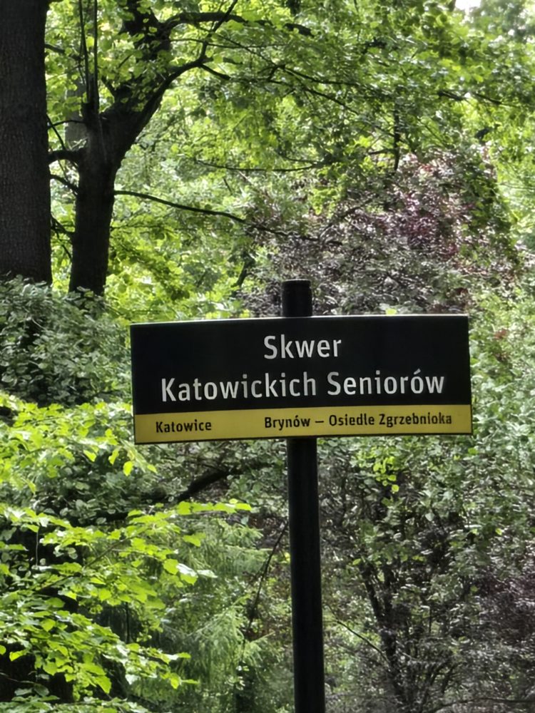 przybliżenie x10