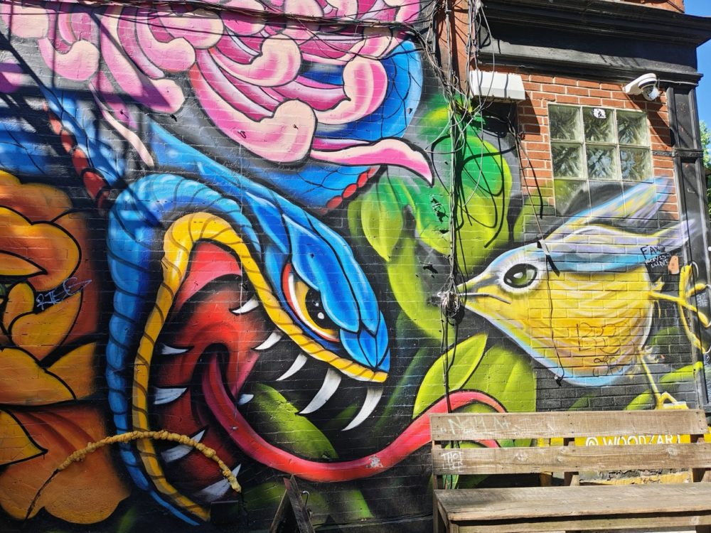 photo