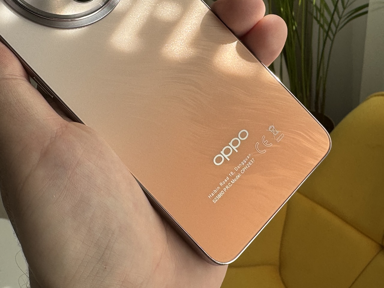 oppo reno12 fs 5g 2