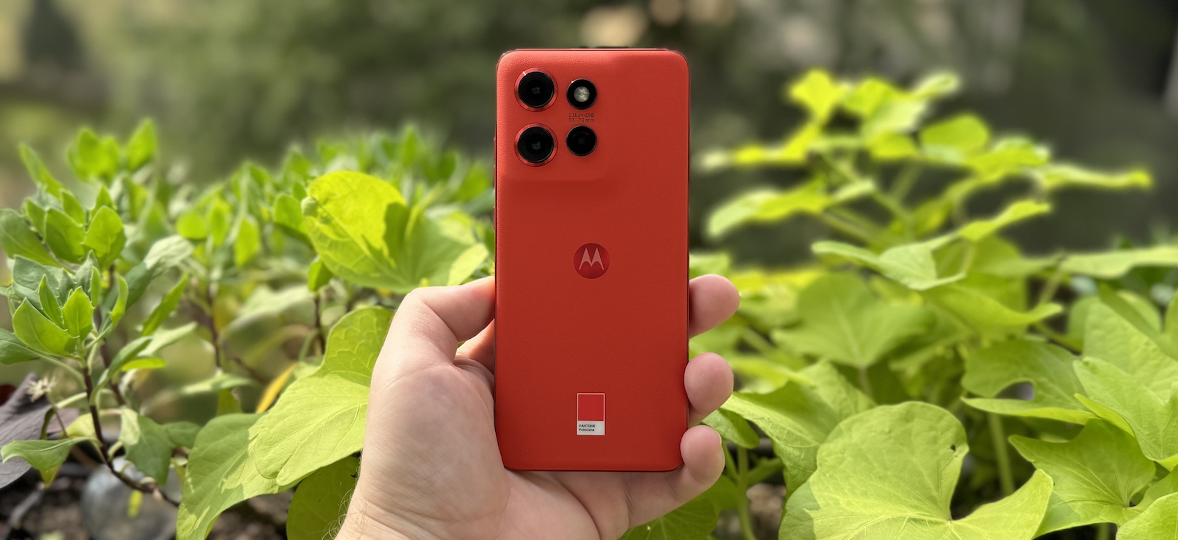 motorola edge 50 neo cena specyfkacja promocja 0