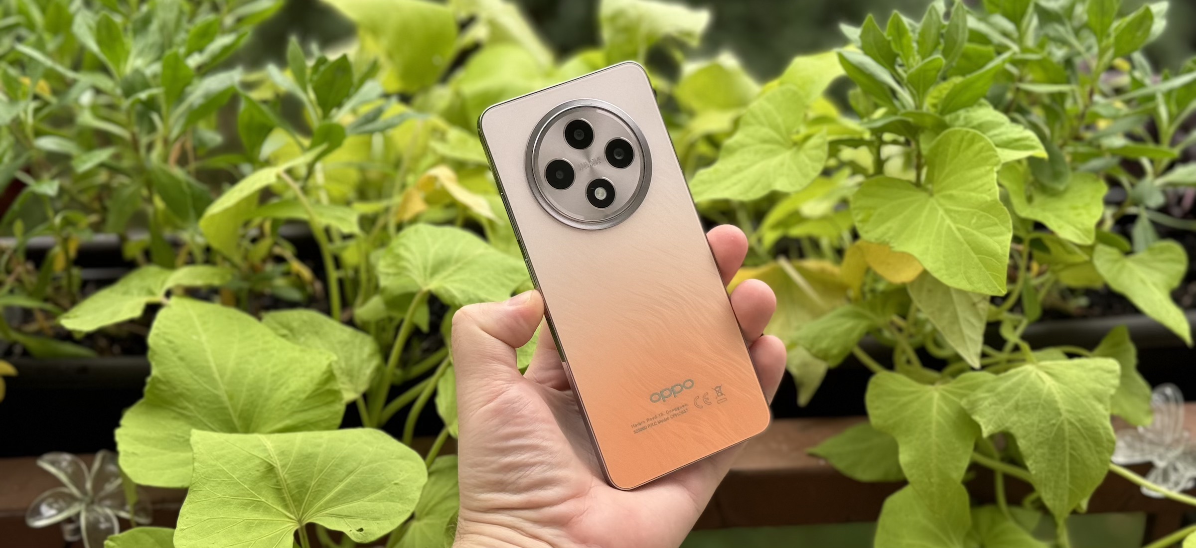 oppo reno12 5g plecki aparat