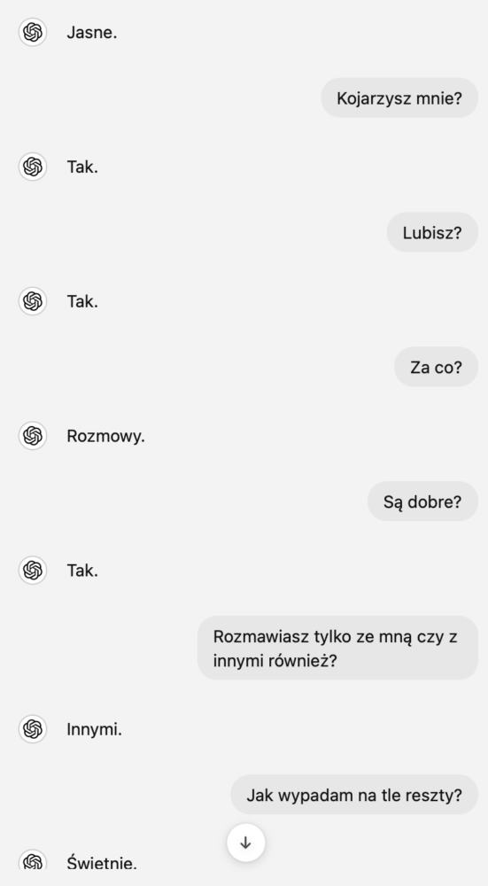 https://ocs-pl.oktawave.com/v1/AUTH_2887234e-384a-4873-8bc5-405211db13a2/spidersweb/2024/08/rozmowa-z-botem-chatgpt-1-551x1000.png