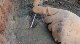 Na Śląsku archeolodzy odkryli zęby rekinów i kości morskich dinozaurów