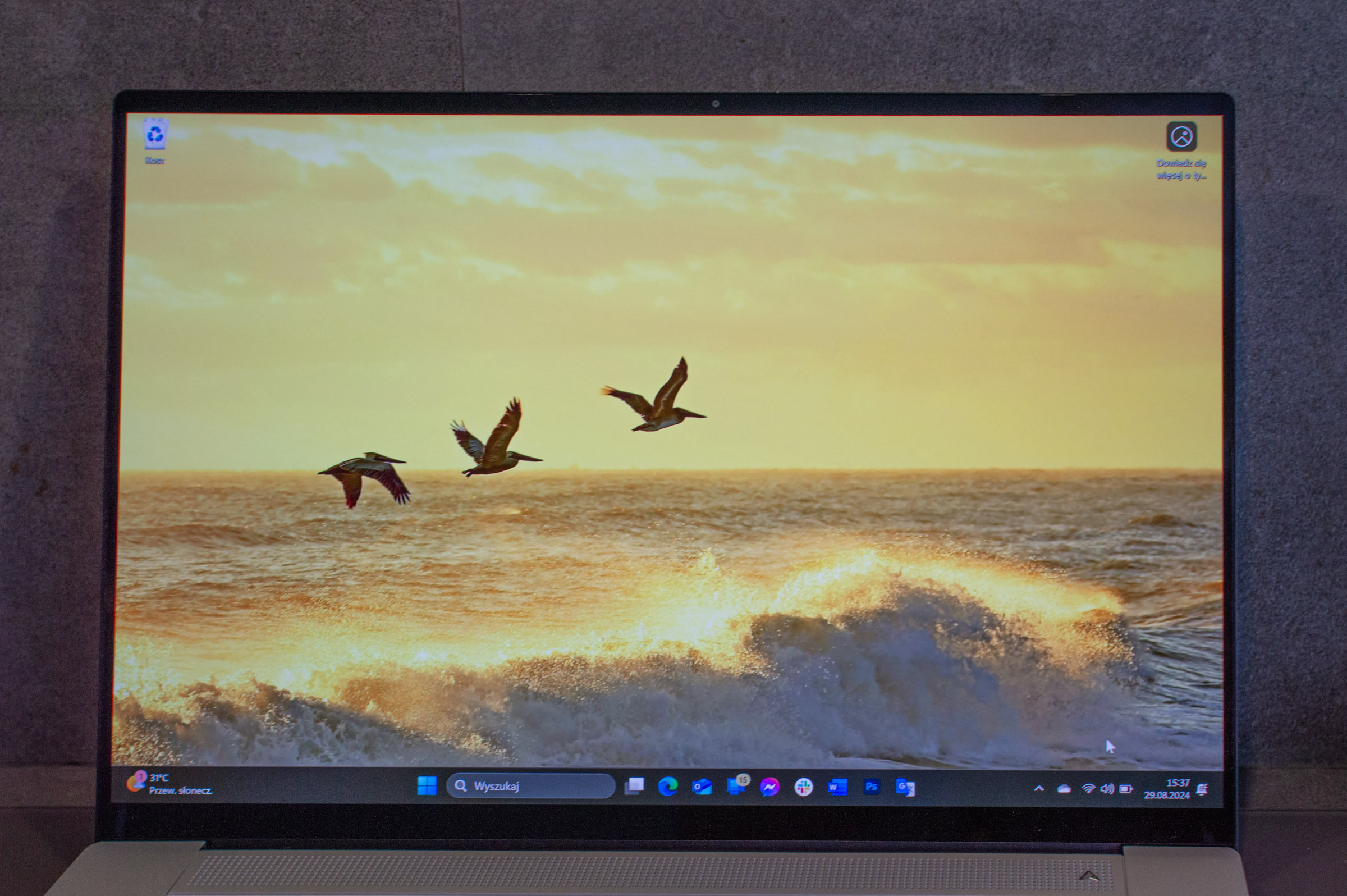120 Hz, OLED, HDR, wysoka jasność, wysoka rozdzielczość, obsługa rozszerzonej palety barwnej. Rewelacja