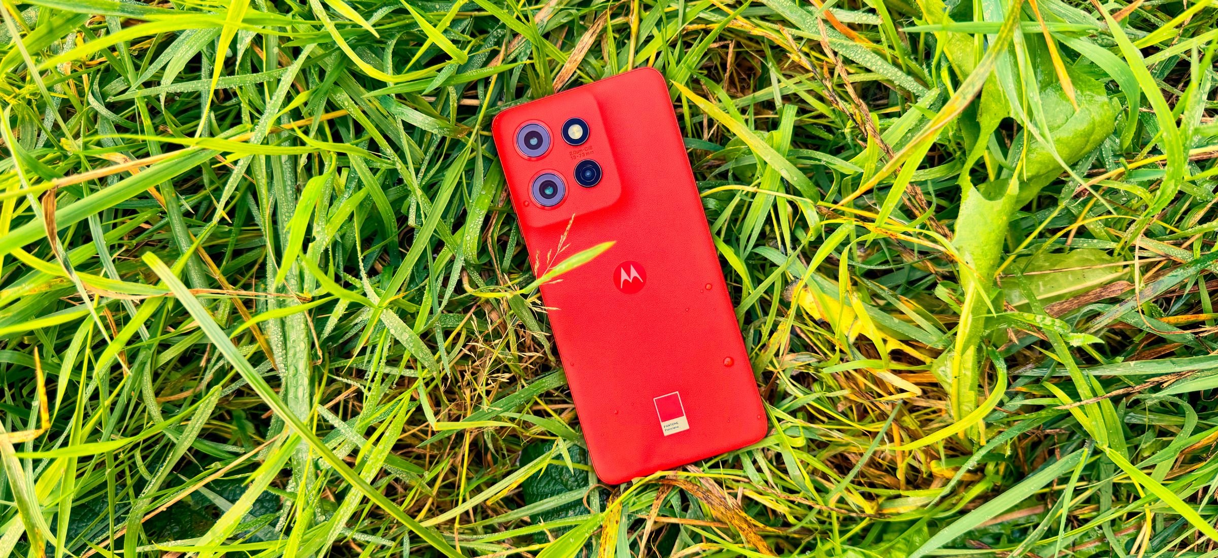 Motorola edge 50 neo