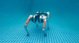 Polacy stworzyli robo-psa do pracy pod wodą. Filmik pokazowy jest jak z horroru