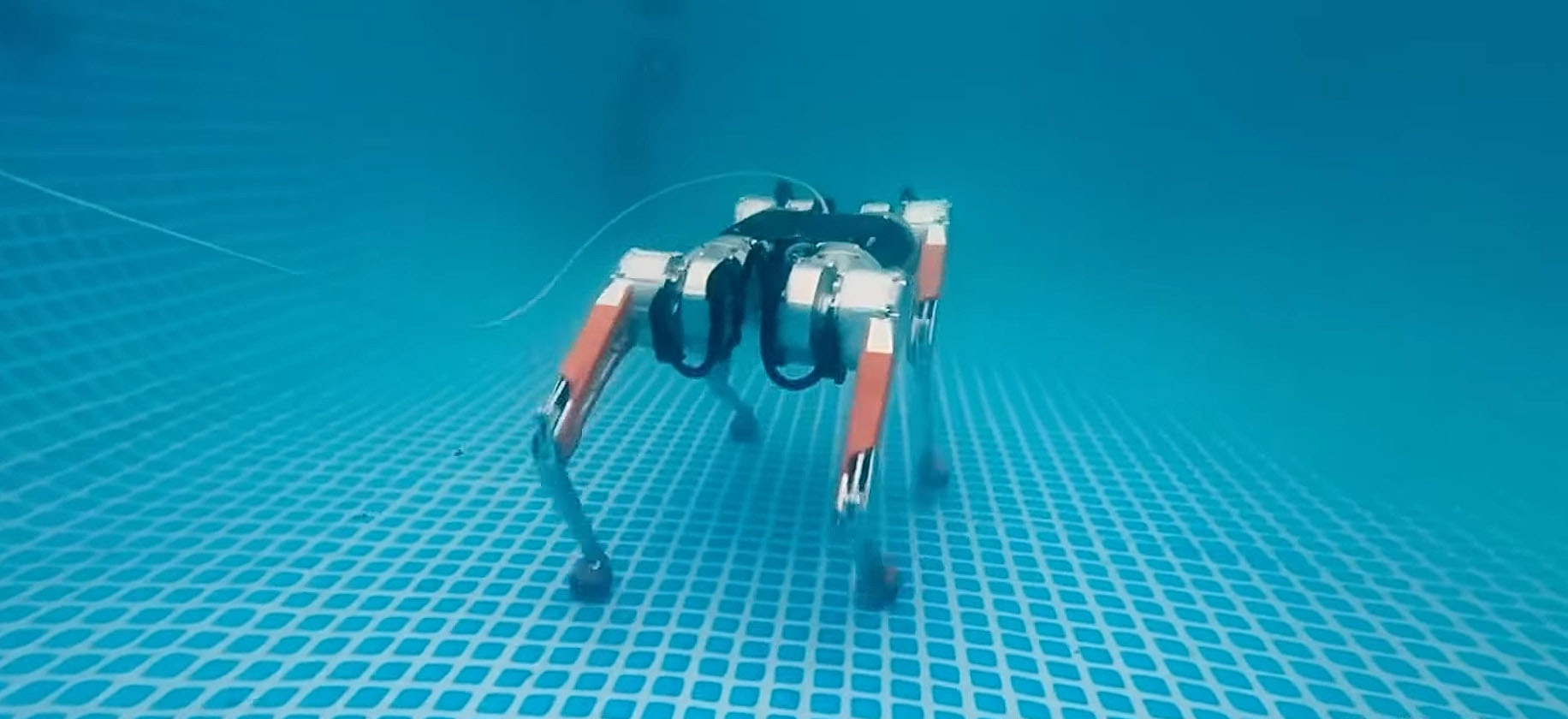 Polacy stworzyli robo-psa do pracy pod wodą. Filmik pokazowy jest jak z horroru
