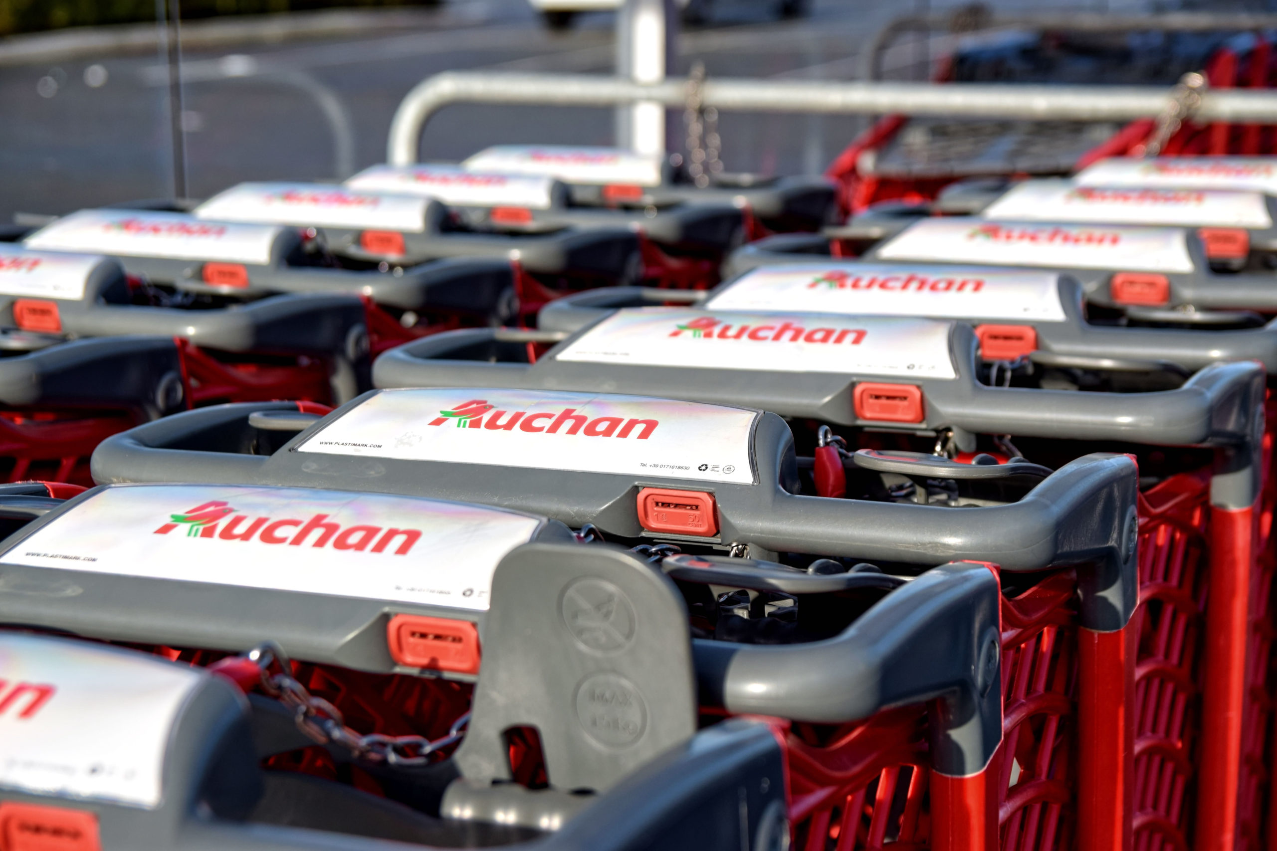 Wózki dla psów w Auchan się przyjęły. Sieć idzie za ciosem