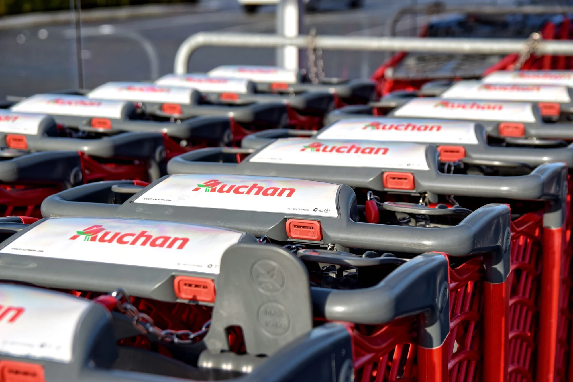 Wózki dla psów w Auchan się przyjęły. Sieć idzie za ciosem