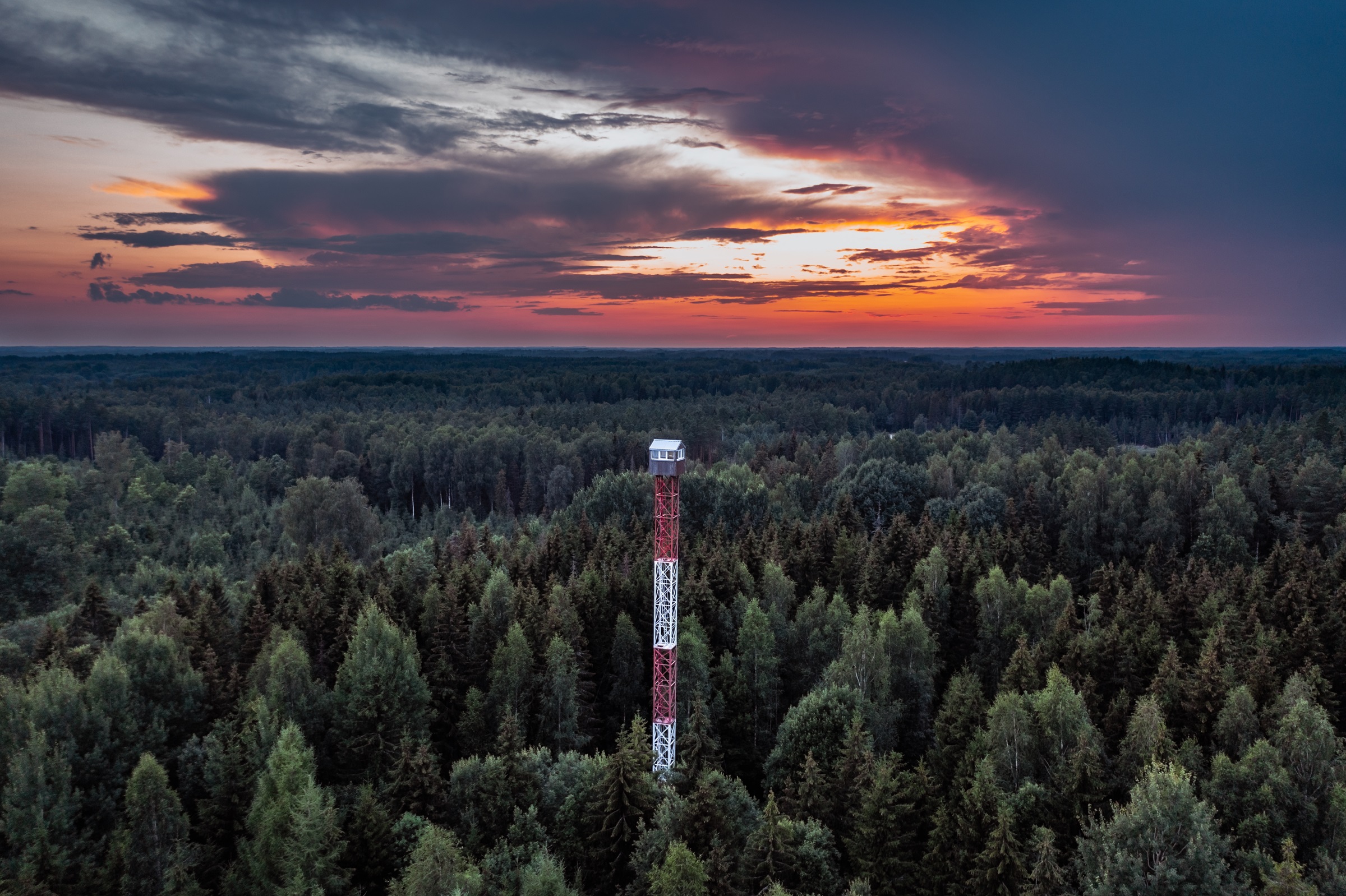 Instalacja przeciwpożarowa nad drzewami kosztowała 200 tys. zł. Myśliwy pomylił ją z dzikiem