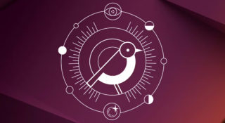 Ubuntu 24.10