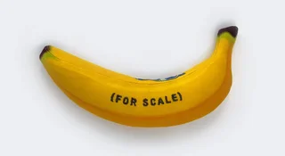 Elon Musk wysłał na orbitę banana. W gigantycznej ładowni Starship był tylko żółty owoc