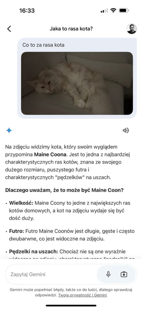 https://ocs-pl.oktawave.com/v1/AUTH_2887234e-384a-4873-8bc5-405211db13a2/spidersweb/2024/11/google-gemini-kot-mainecoon-460x1000.jpeg