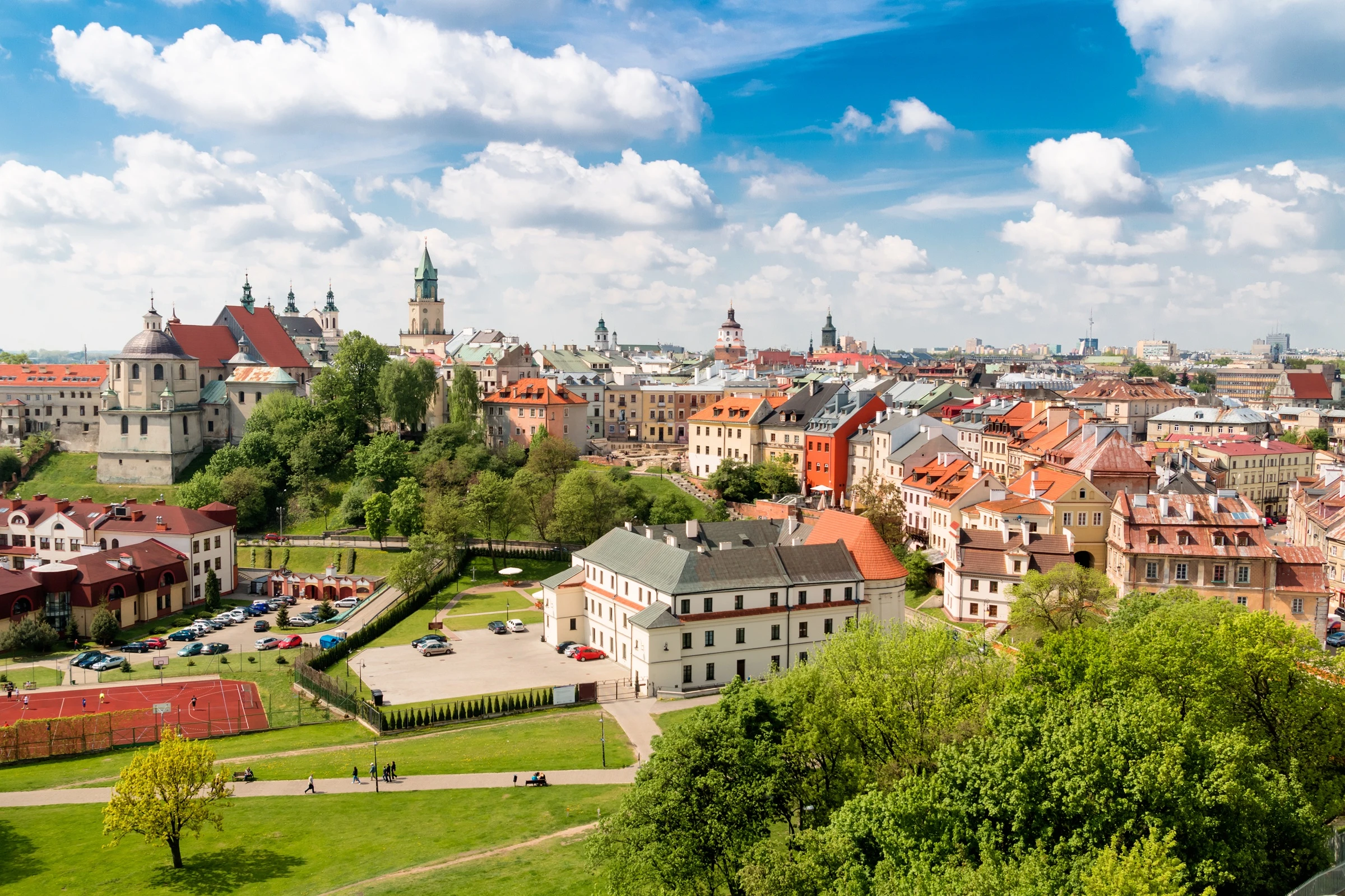 W Lublinie chcą wyciąć prawie tysiąc drzew. Mówią, że mają powód, ale dowodów brakuje 
