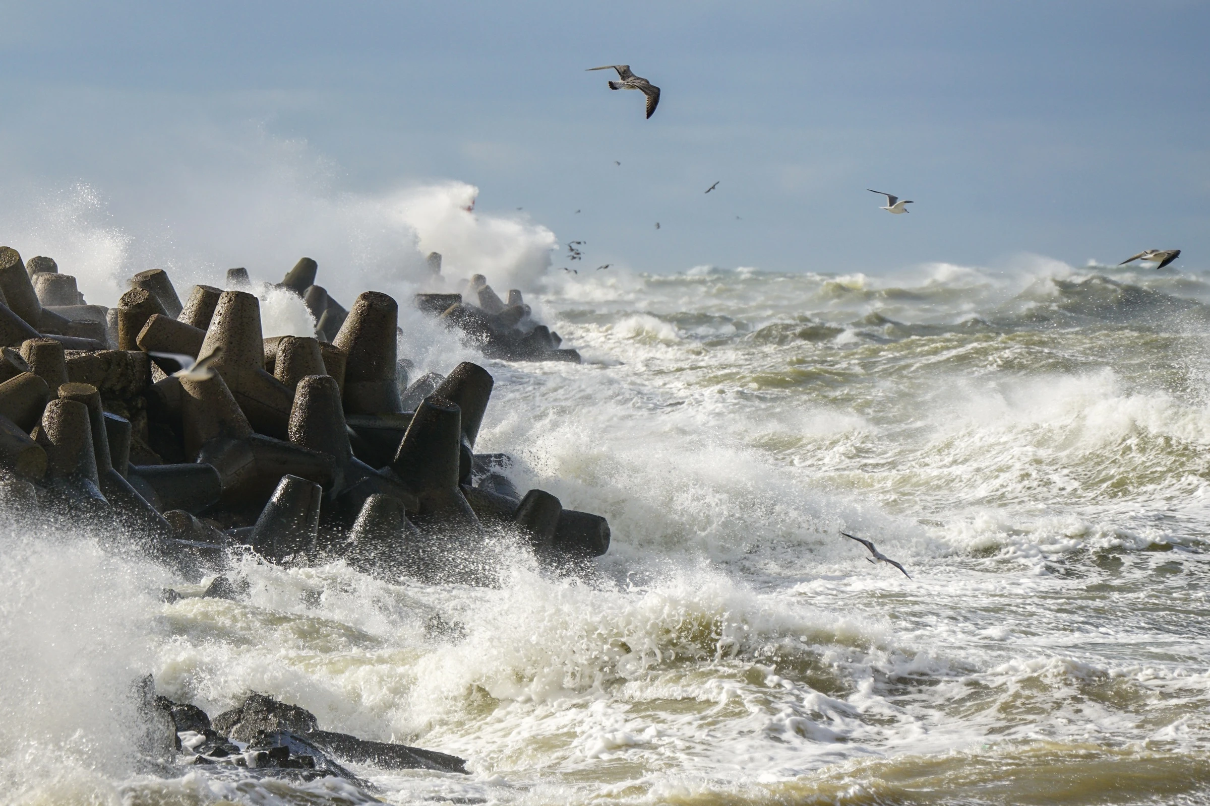 Polski instytut meteorologii podał zatrważające dane. Grudzień nie powinien tak wyglądać