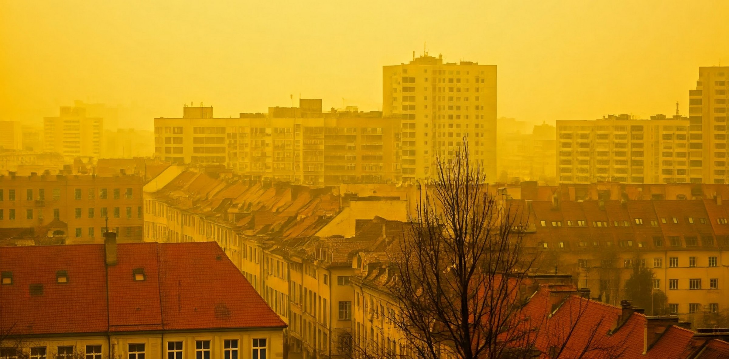 RCB z ostrzeżeniem: "Zrezygnuj z aktywności na zewnątrz". Potężny smog nad Polską