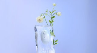 Asus Fragrance Mouse