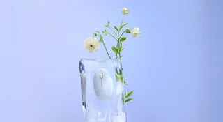 Asus Fragrance Mouse