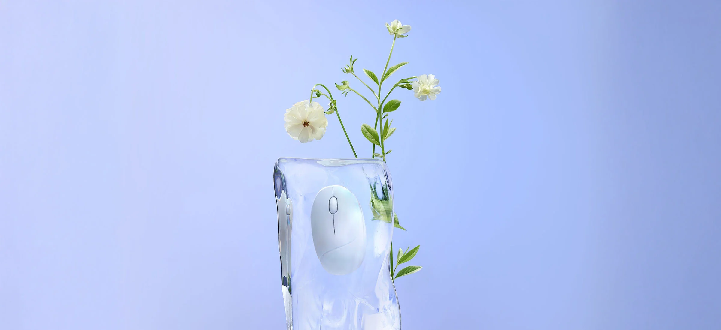 Asus Fragrance Mouse