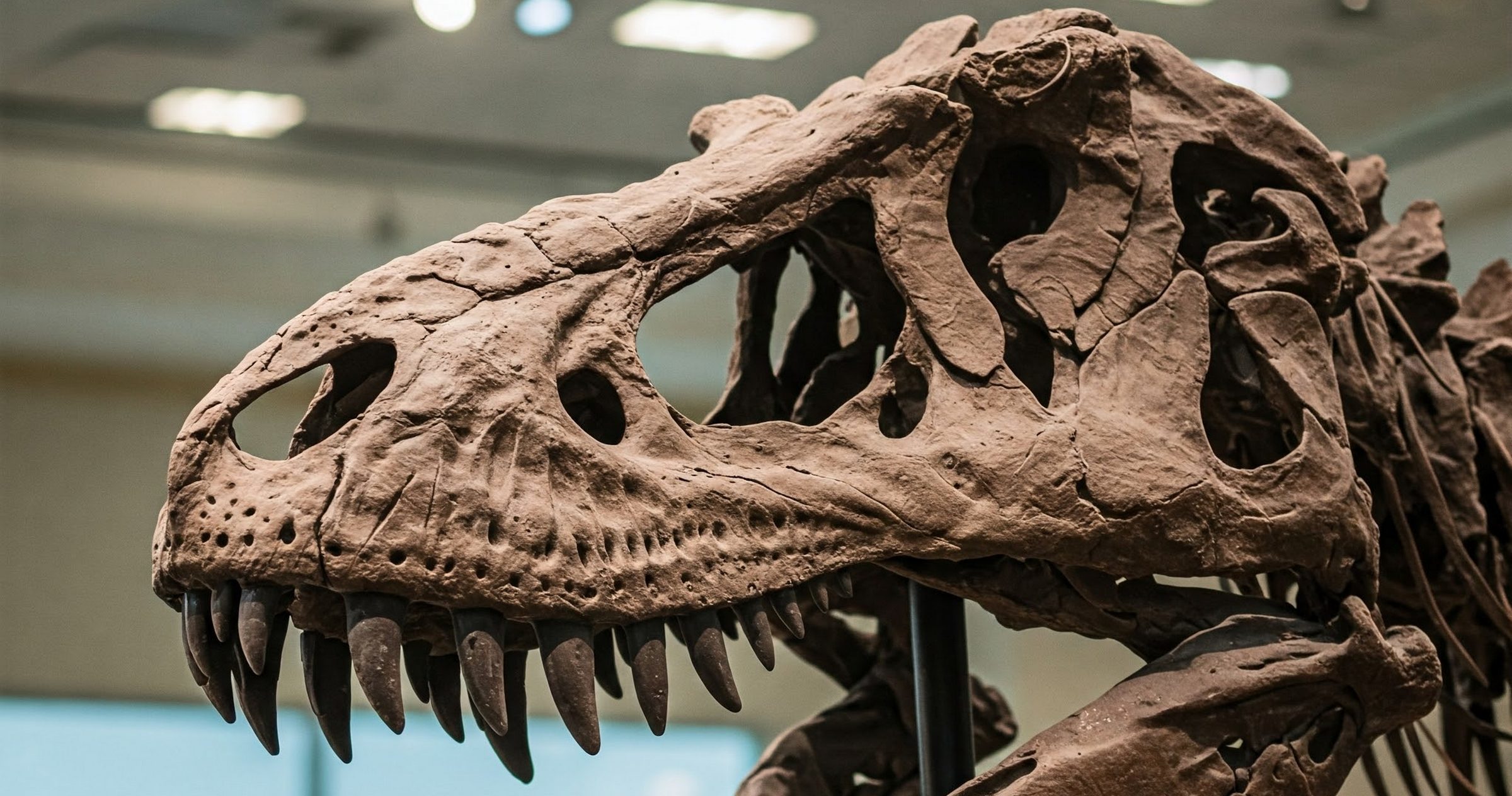 Odkryto podziemne fale. To ślady tsunami, które zakończyło erę dinozaurów